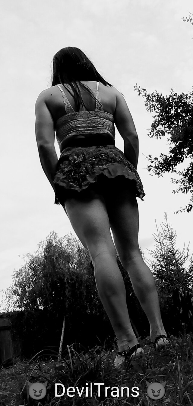 DevilTrans