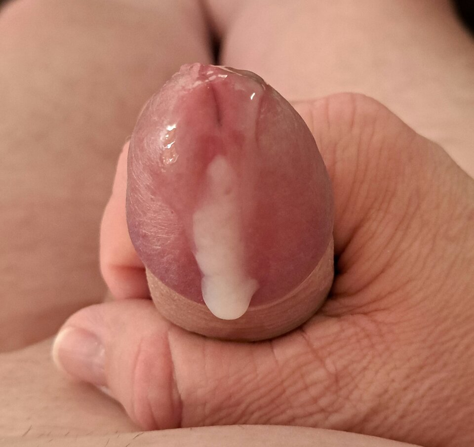 3981.jpg - Fankutasowcipek70