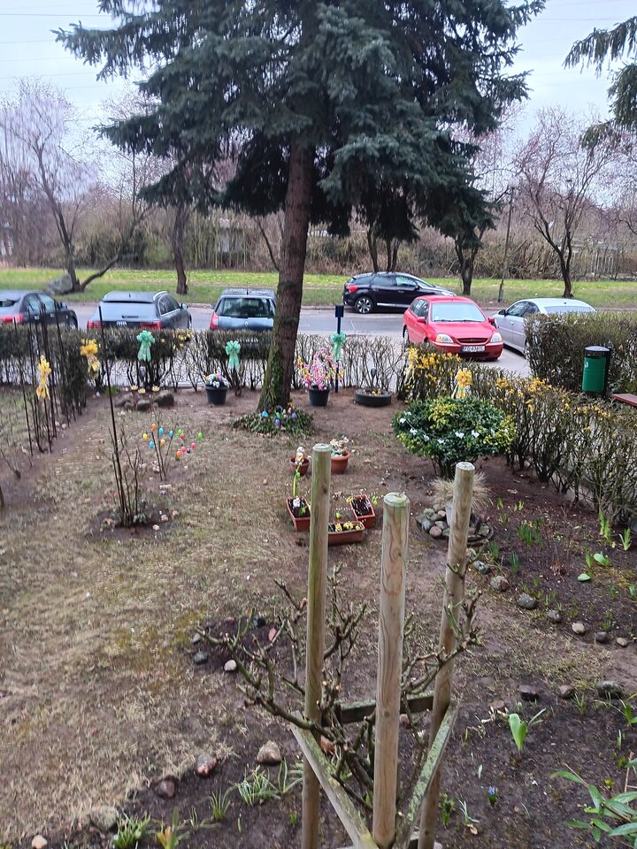 20260330_112102.jpg - WESOLAWDOWKA