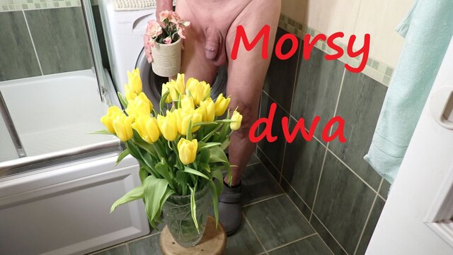 Morsy_dwa