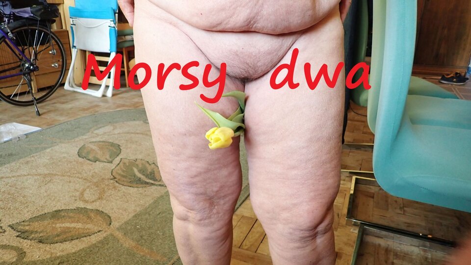 Kwiatki cd. - Morsy_dwa