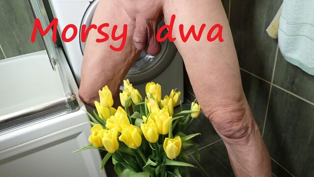 Morsy_dwa