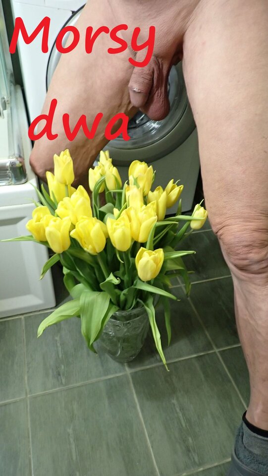 Z kwiatkami. - Morsy_dwa