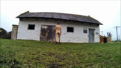 ŁYSAKÓW - gospodarstwa 20260330_0821.mp4_snapshot_00.36_[2026.