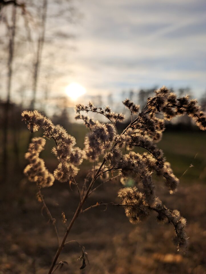 1000069865.jpg - sensory_