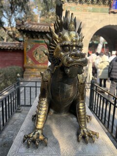 IMG_4359.jpeg