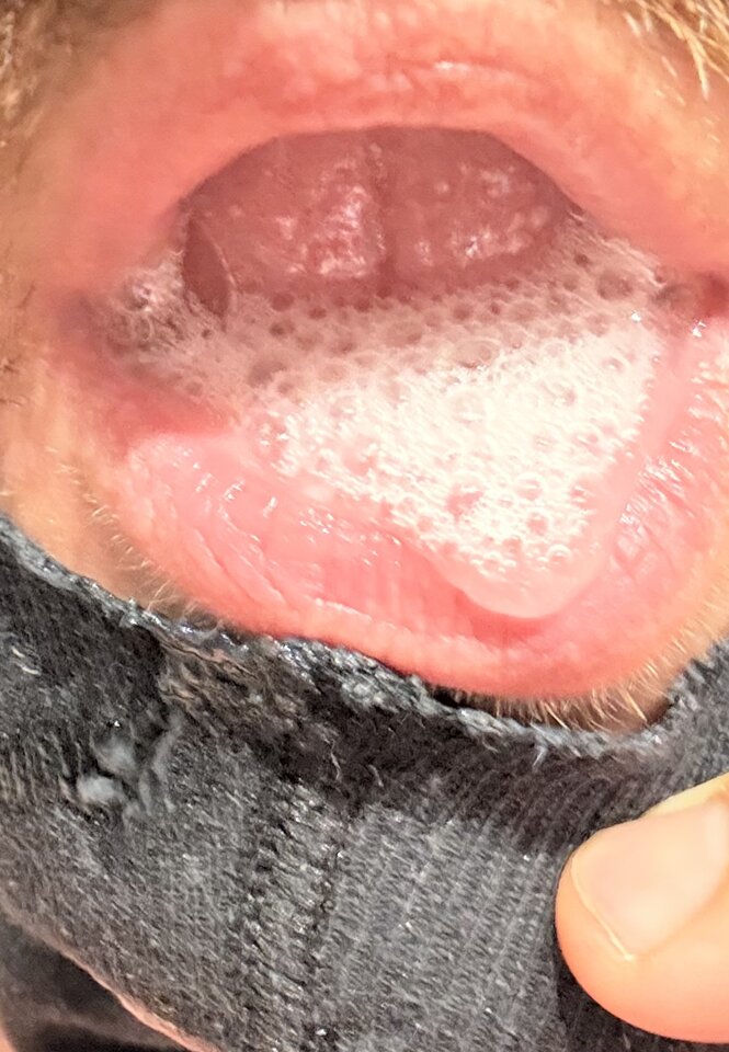 IMG_9249.jpeg - orfeo91