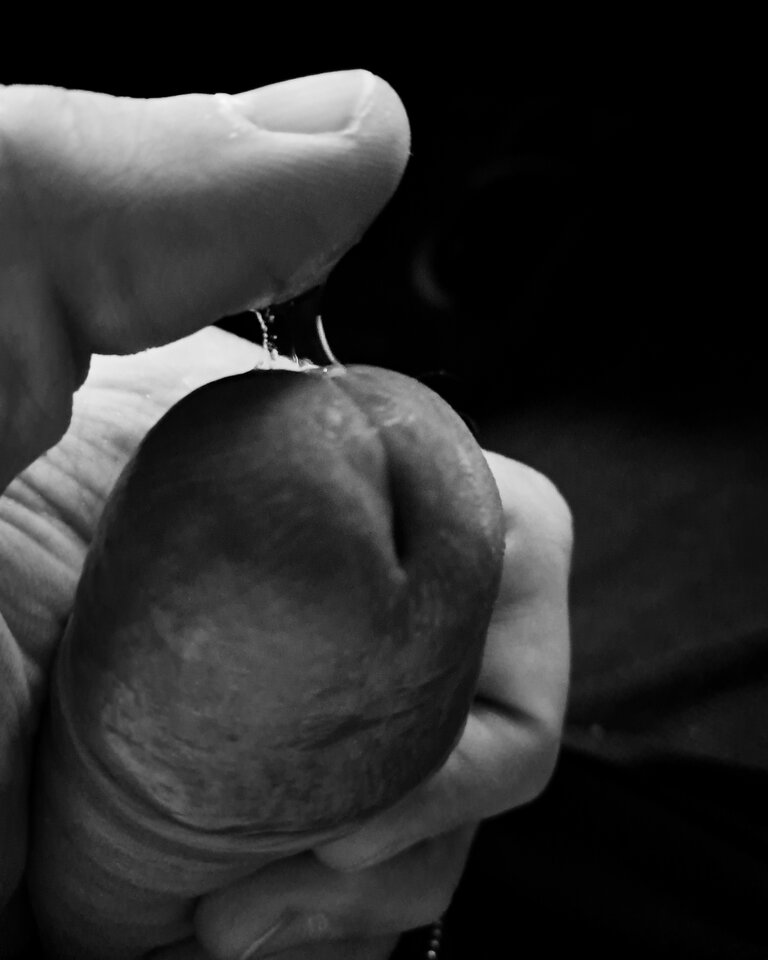 1000031774.jpg - P2026