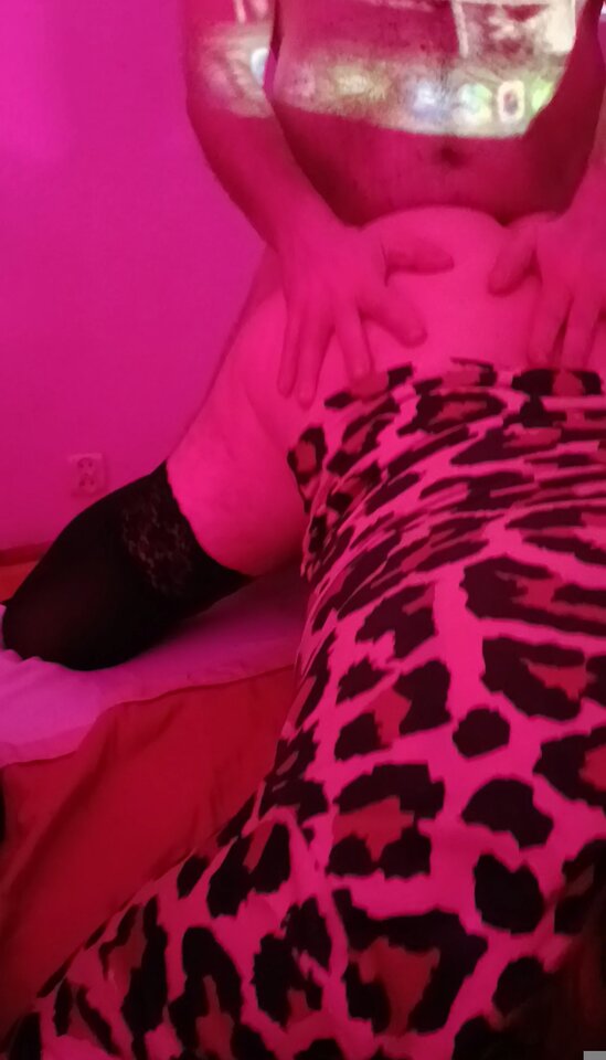 2865.jpg - trans4fun