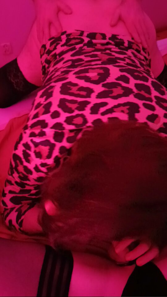 2863.jpg - trans4fun