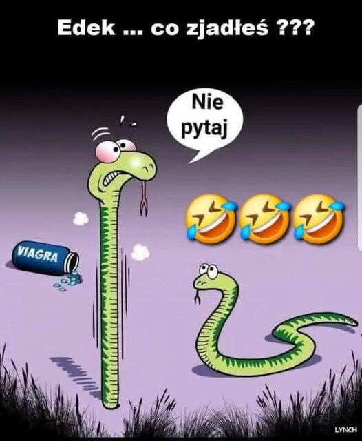 img_1_1774868500055.jpg - Kooper1221