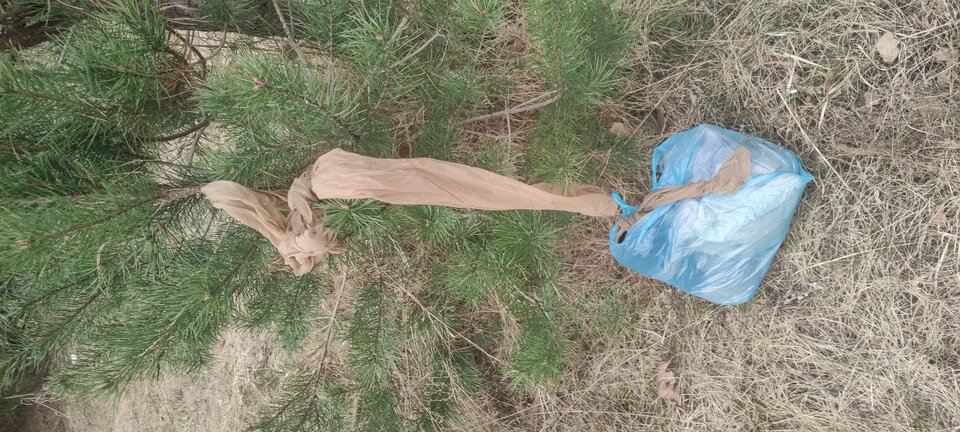 Zostawiłem tam gdzie zawsze - Cuckoldrajstopy