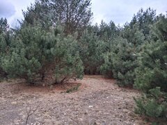 I know the spot.jpeg