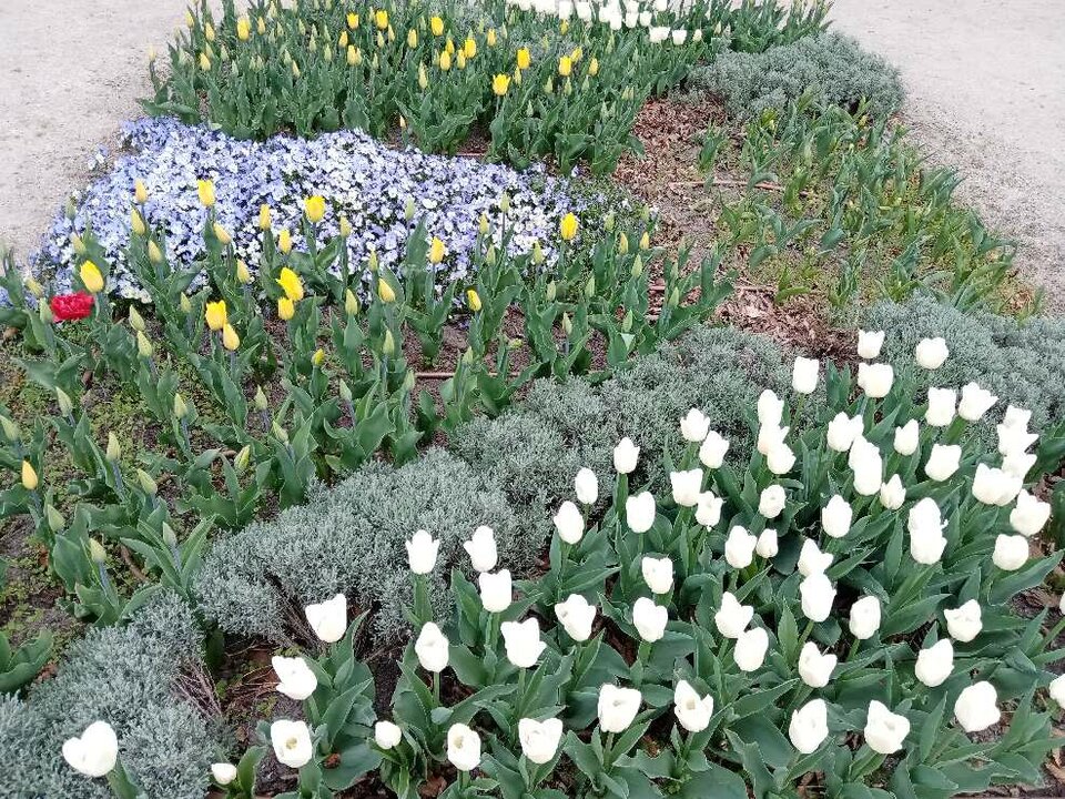 DSC0133.jpg - IgaGlamour