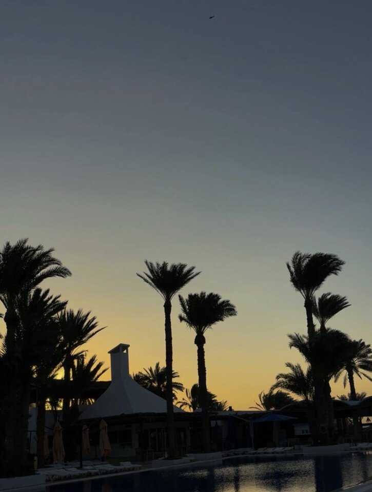 IMG_3394.jpeg - mlody20cm0