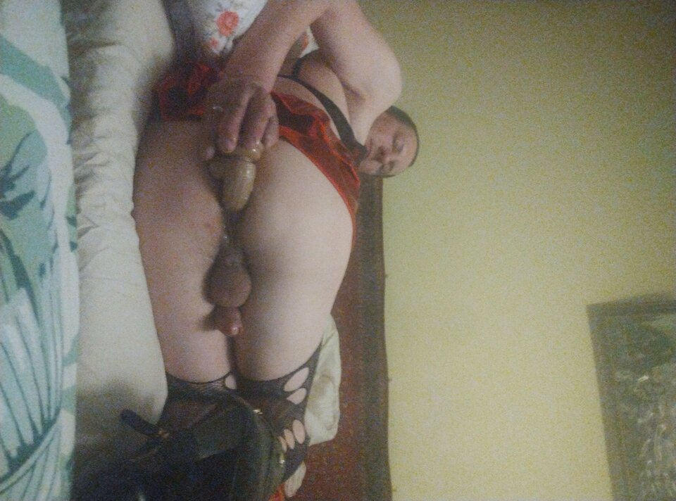 IMG_20260401_214241889.jpg - Pinguary2345