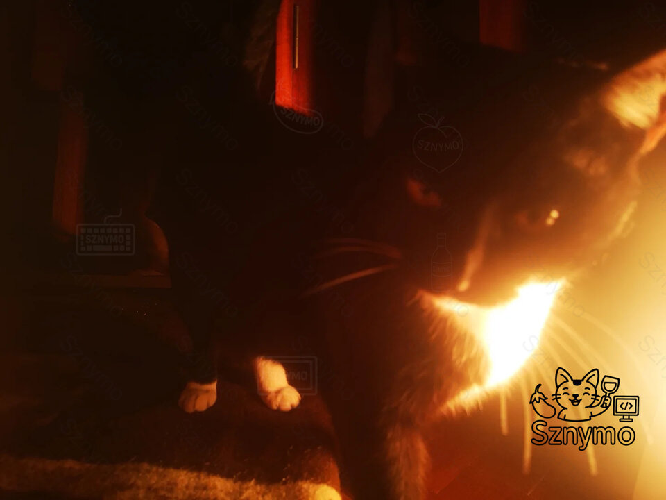 IMG_20250302_051234.jpg - Sznymo