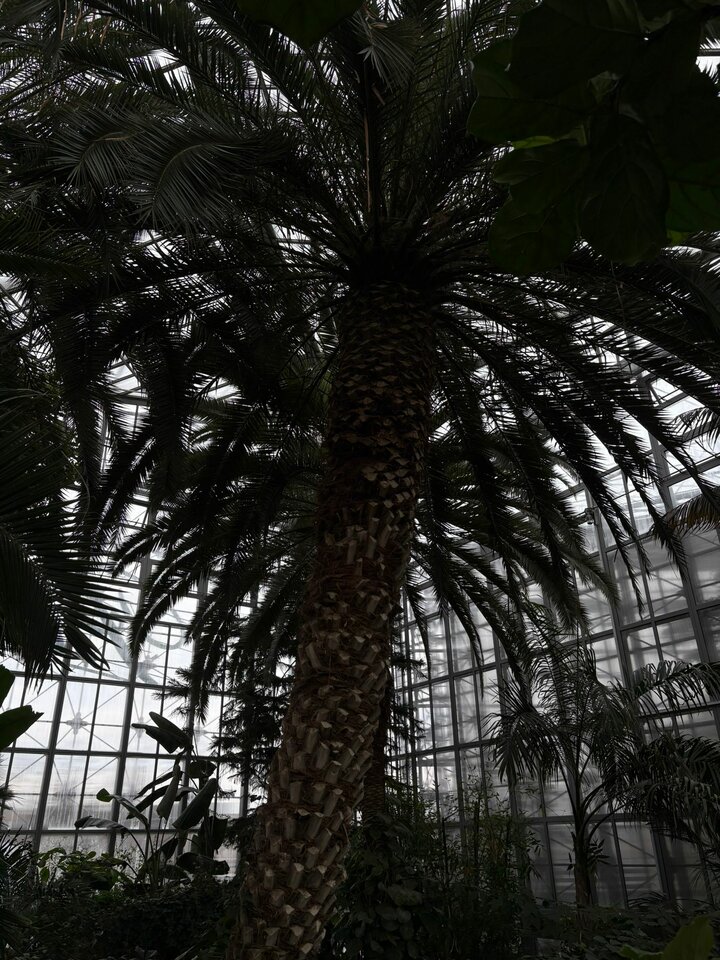 1000007342.jpg - Mystery_1989