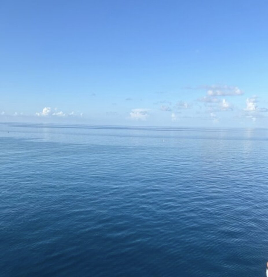 IMG_3768.jpeg - ParaNatur4050