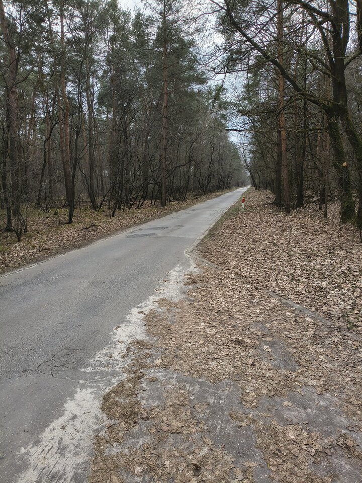 1000002978.jpg - Golaska85