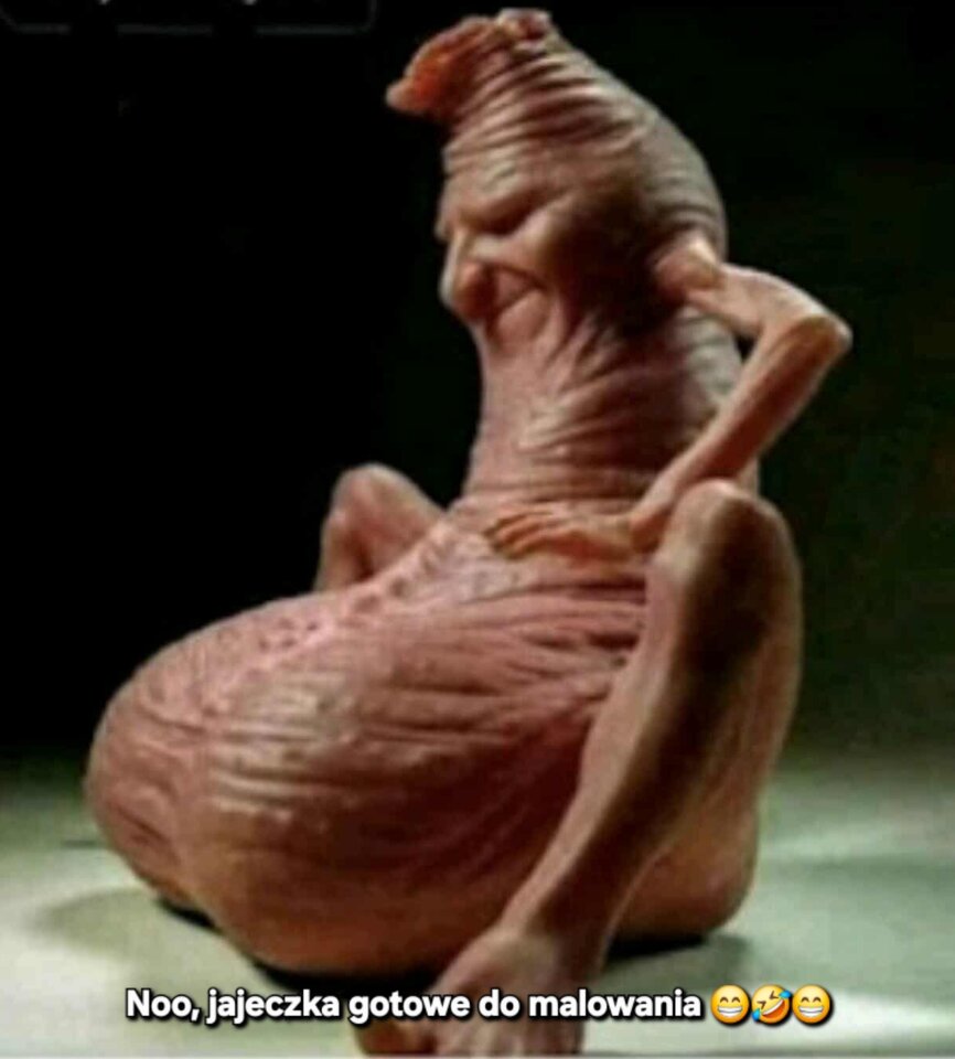 Noo i można lakierować jajeczka 🤣🤣🤣 - Diego_48