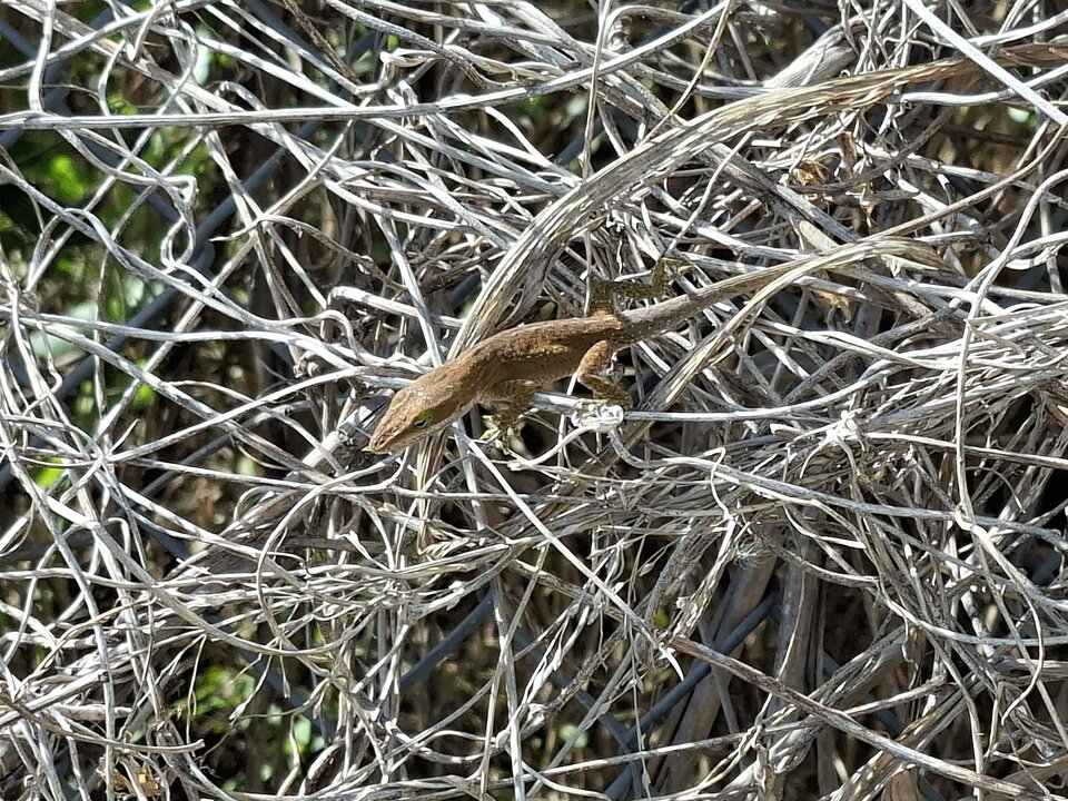 20251120_125815.jpg - Darco49