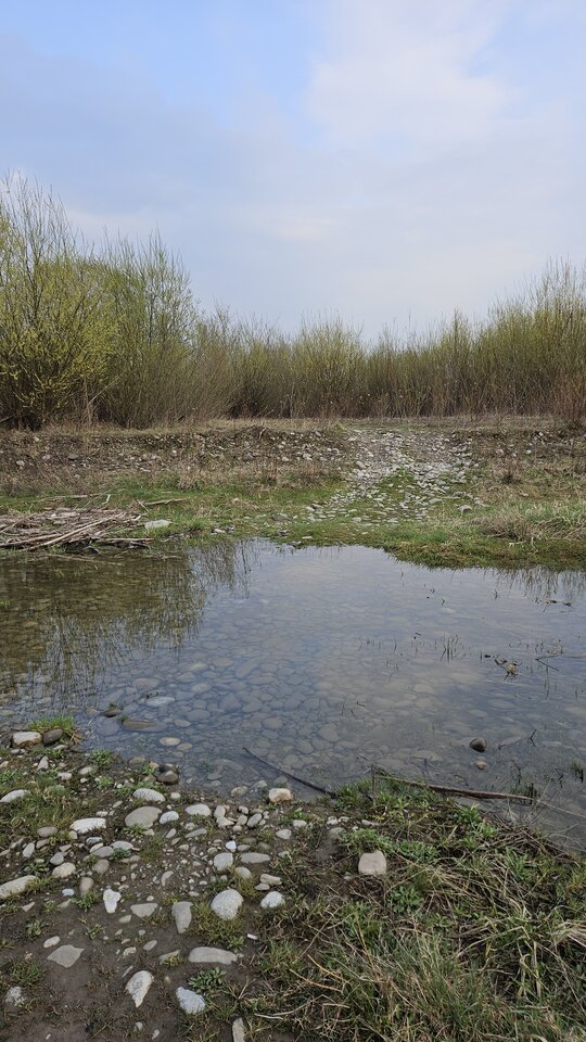 2.04.2026 Stadła - nowytomas