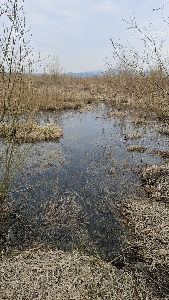 2.04.2026 Stadła - nowytomas