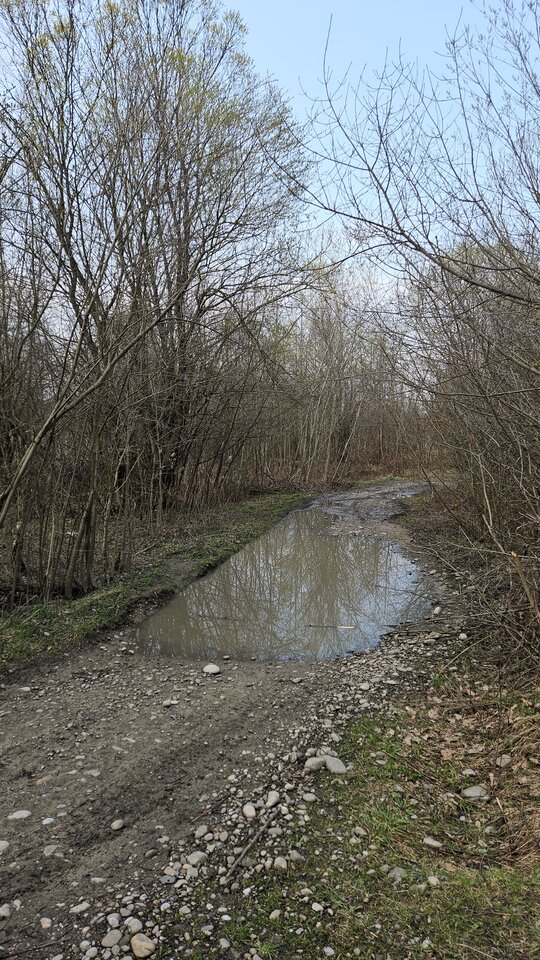 2.04.2026 Stadła - nowytomas