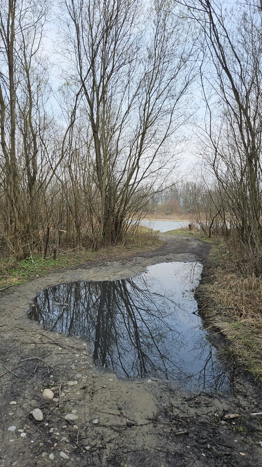 2.04.2026 Stadła - nowytomas