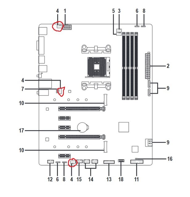 2026-04-03_113956.jpg - rajstopy4men