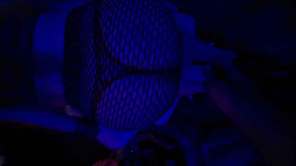 Moja Ukochana Suczka 😈❤️💋 - PaulBer86