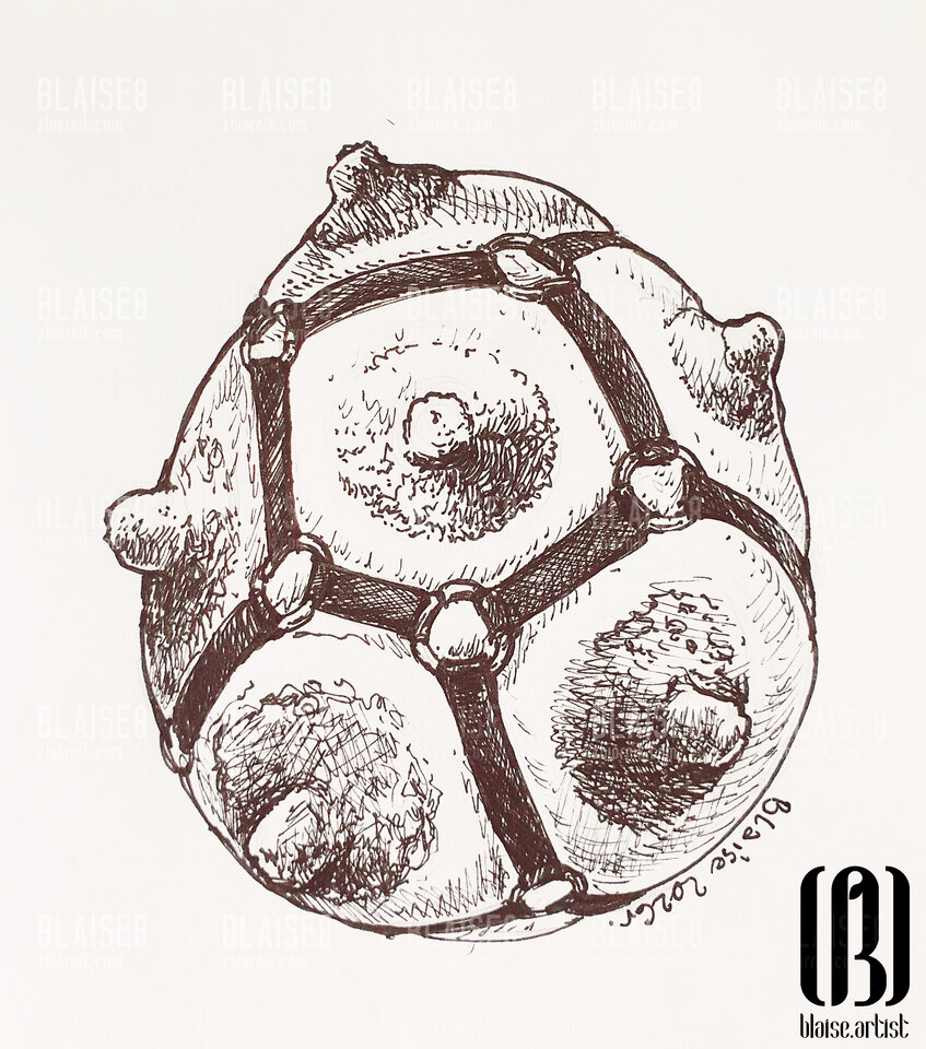 Art. No. 388 - blaise8