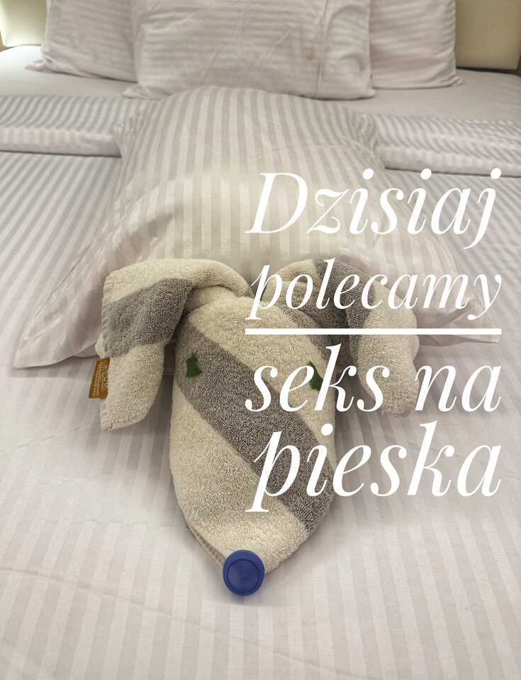 🤣🐶 - serialowapara19782