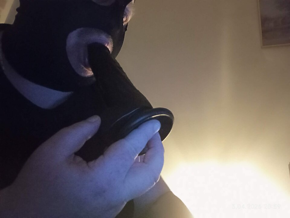 7fd80dff-0673-4316-a45d-1d024c3346b6.jfif - Wawgrubasbi50