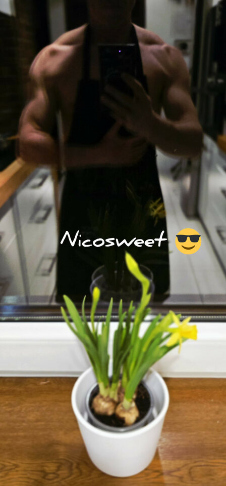 W kuchni przed świętami.... - nicosweet