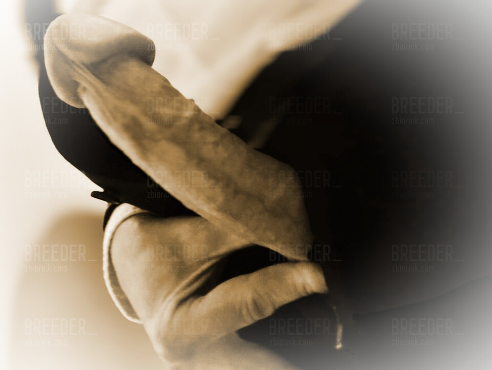 1000007964.jpg - Breeder_