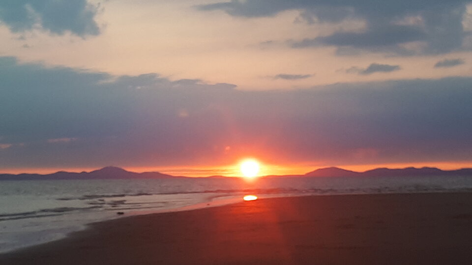 b1b3bdd0-63bd-4593-96a8-2ea370620188-1_all_3411.jpg - Breeder_