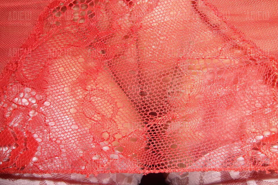 SAM_6279.JPG - ADiEW