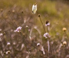 Gdzieś w Turcji.jpg