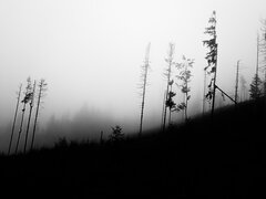 Za Zwardoniem w drodze na Wielką Raczę.jpg