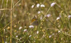 Gdzieś w Turcji.jpg