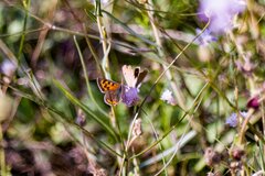 Gdzieś w środku Turcji.jpg