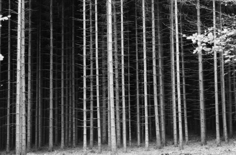 Okolice Soszowa .jpg - moonlight85