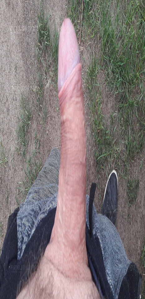 zdhnh.jpg - mmojduzy102