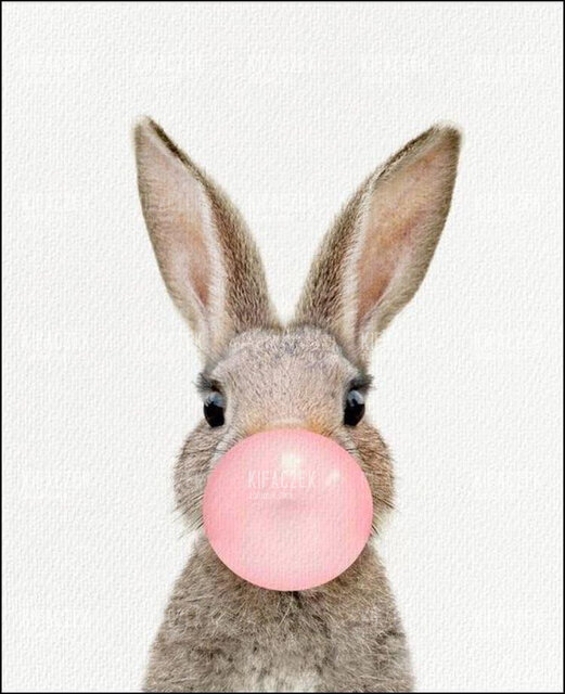 662067603_1474166840731808_3103575391126449442_n.jpg - kifaczek