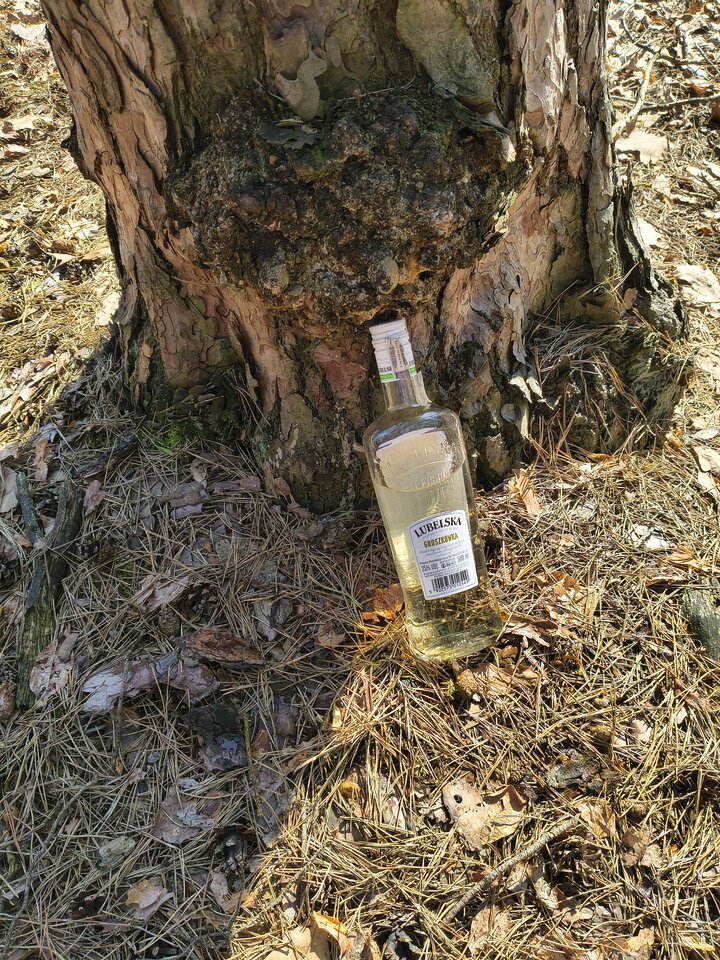 1000003006.jpg - Golaska85