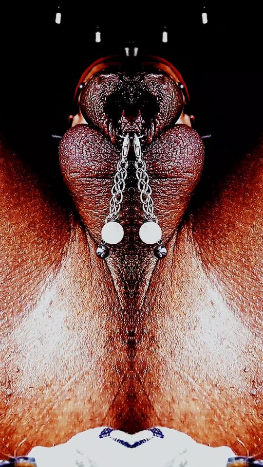 10666.jpg - Piercinglove