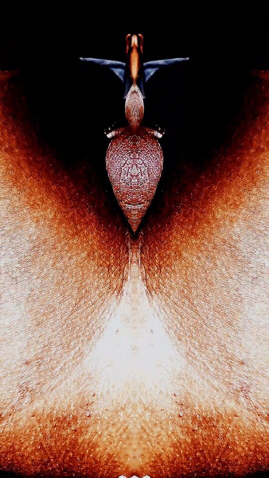 10669.jpg - Piercinglove