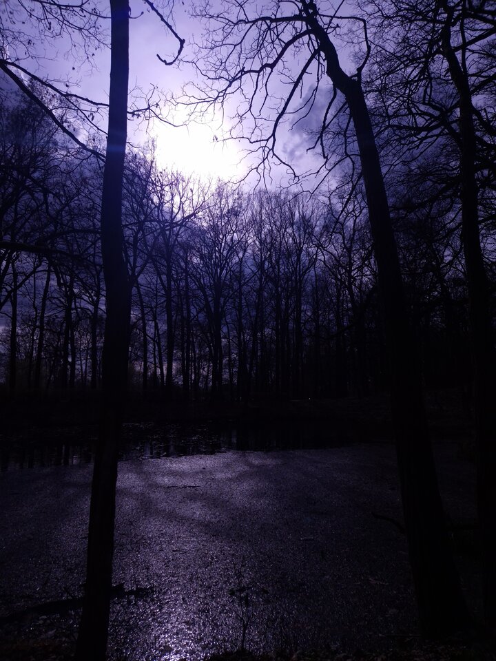 1000033791.jpg - TakijaCT